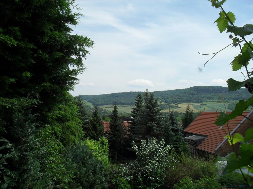 Ferienwohnung Bergblick Jena Room photo